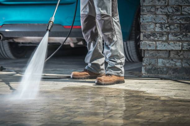 Best Building Exterior Washing  in Laguna Park, TX