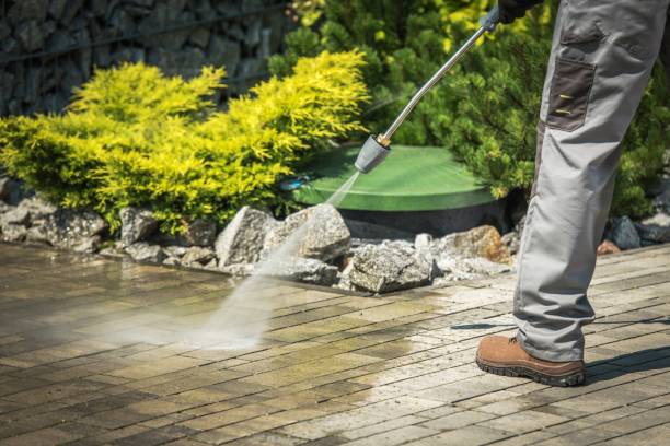 Professional Pressure Washing in Laguna Park, TX