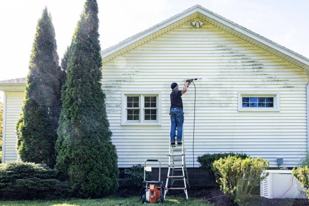 Best Roof Washing  in Laguna Park, TX